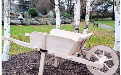 Test brouette en bois Outils et Nature Luxy grand modèle