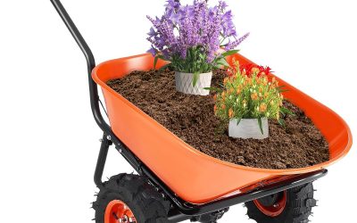 Test de la brouette électrique VEVOR 500 W : performance et praticité au jardin