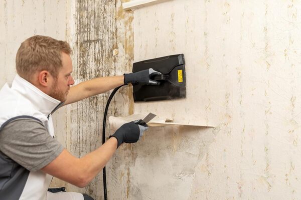 WAGNER Décolleuse à papier peint à vapeur SteamForce Speed Pro, Capacité du réservoir : 5,1 l, Temps de vapeur max. : 68 min, Longueur du tuyau : 5 m, 2750 W, 230 V